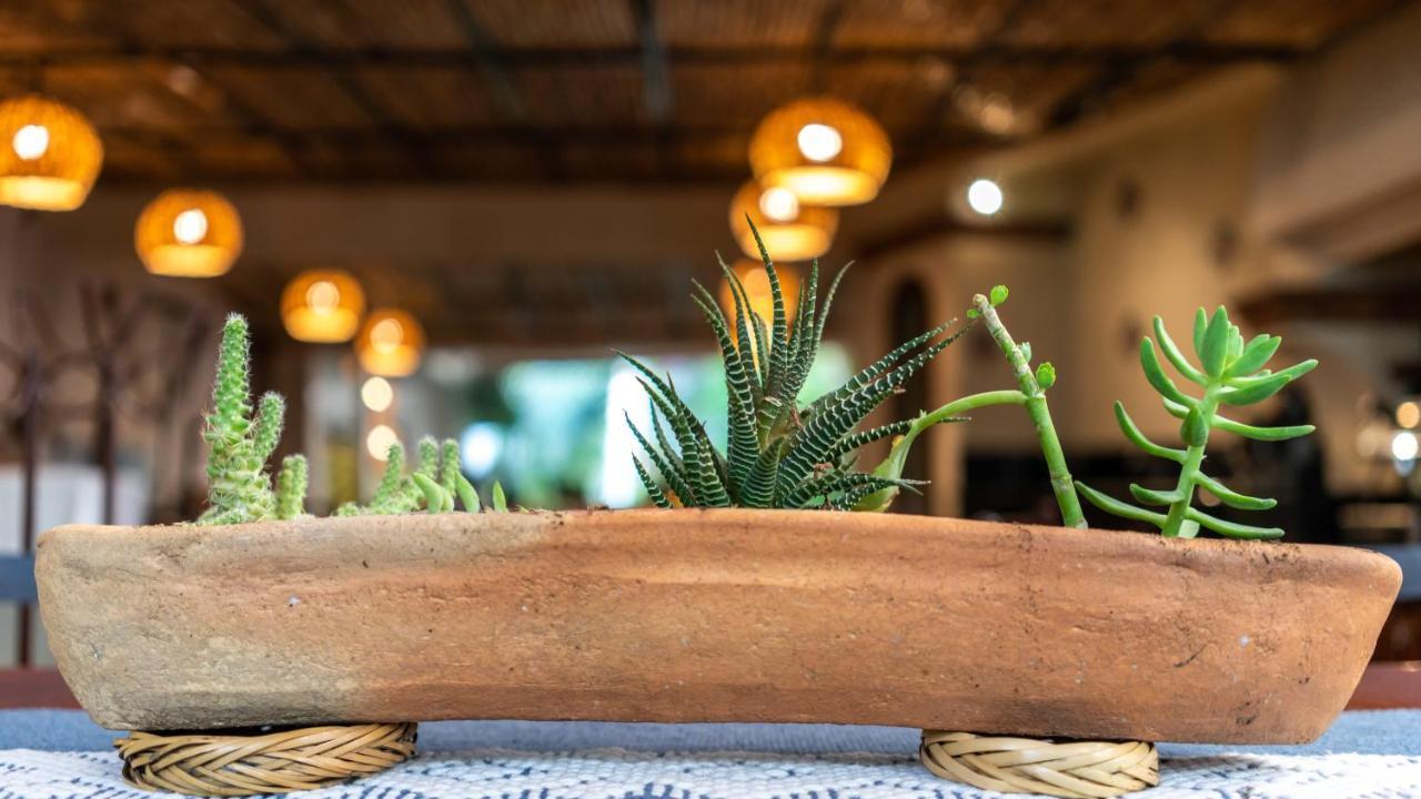 Casa Los Cantaros Hotel Boutique Oaxaca Eksteriør bilde