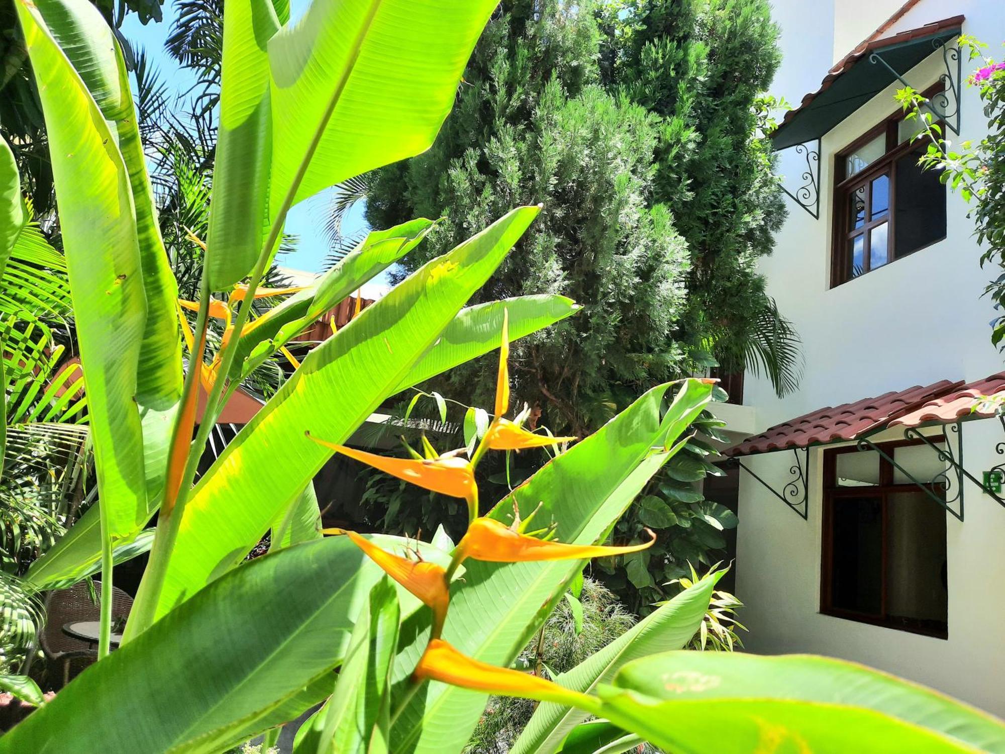 Casa Los Cantaros Hotel Boutique Oaxaca Eksteriør bilde