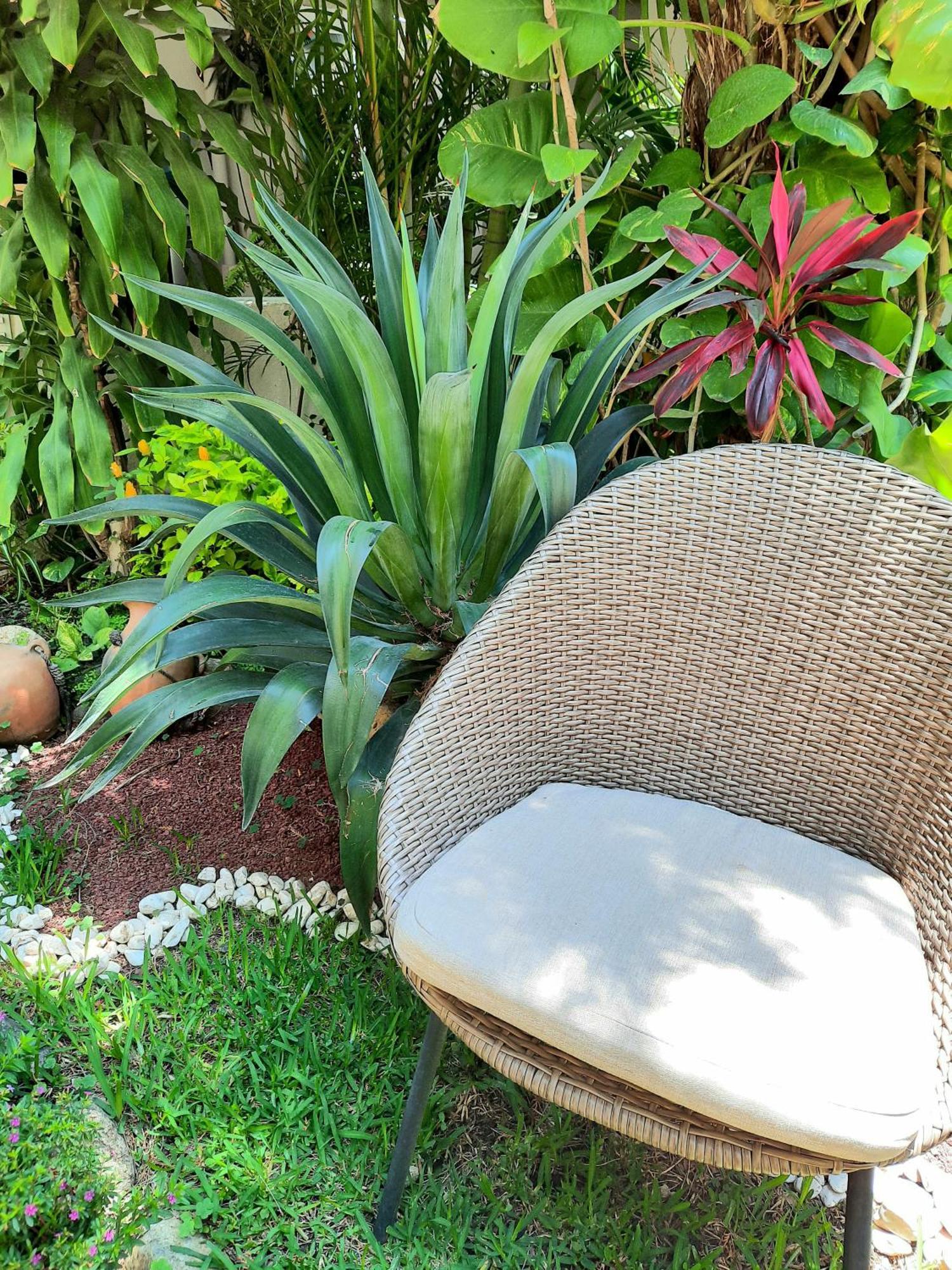 Casa Los Cantaros Hotel Boutique Oaxaca Eksteriør bilde